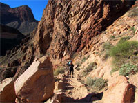 Grand Canyon Scene